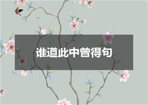 谁道此中曾得句
