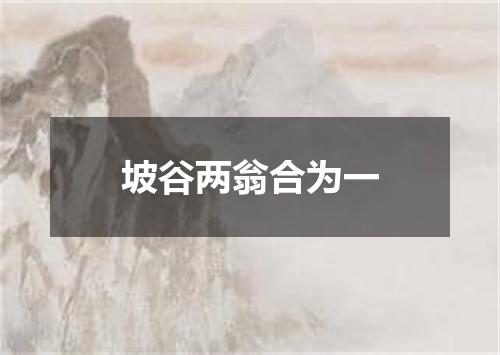 坡谷两翁合为一