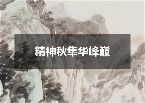 精神秋隼华峰巅