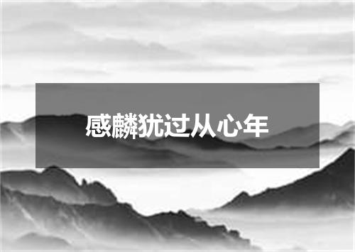感麟犹过从心年