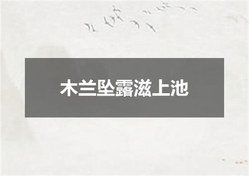 木兰坠露滋上池