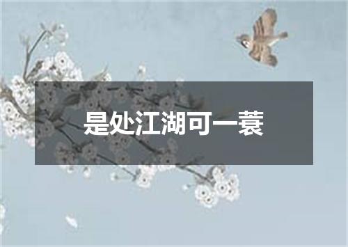 是处江湖可一蓑