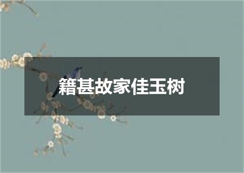 籍甚故家佳玉树
