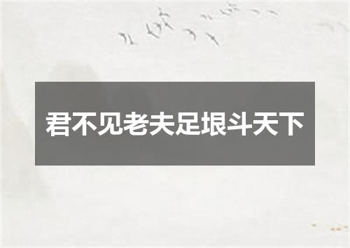 君不见老夫足垠斗天下