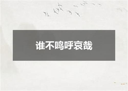 谁不鸣呼哀哉