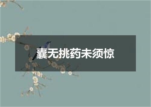 囊无挑药未须惊