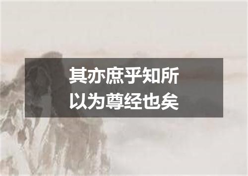 其亦庶乎知所以为尊经也矣