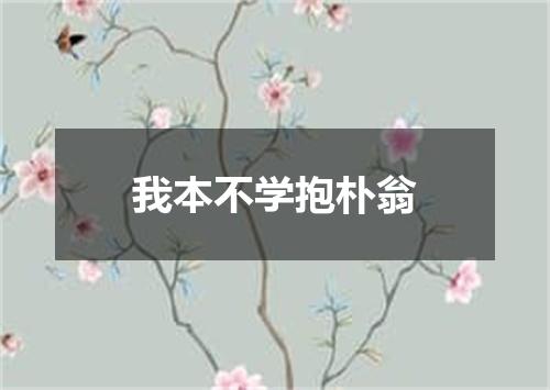 我本不学抱朴翁
