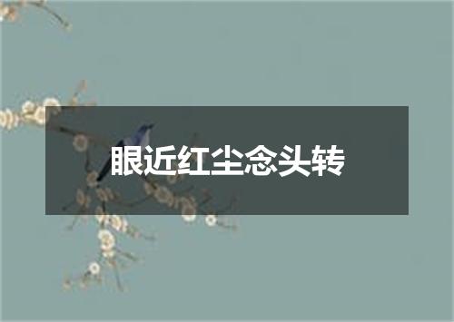 眼近红尘念头转