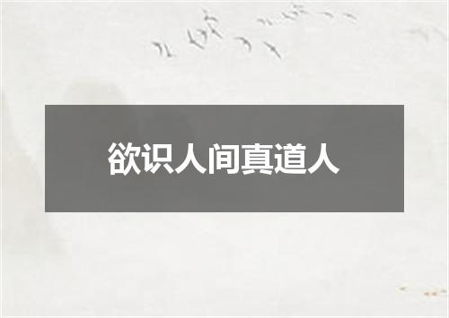 欲识人间真道人