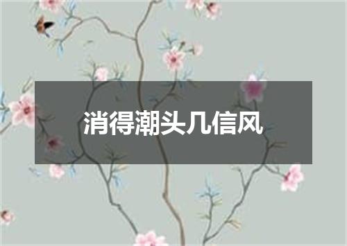 消得潮头几信风