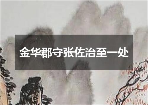 金华郡守张佐治至一处