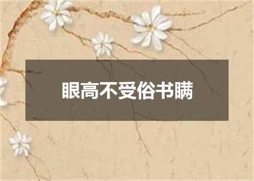 眼高不受俗书瞒