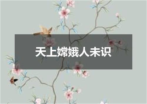 天上嫦娥人未识