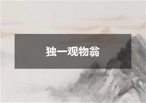 独一观物翁