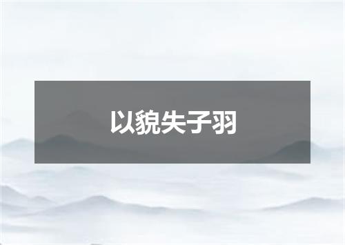 以貌失子羽