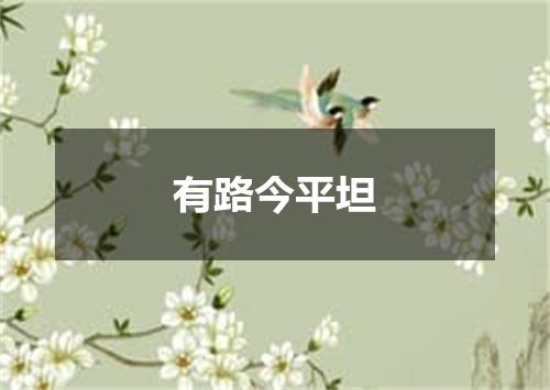 有路今平坦