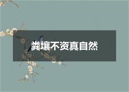 粪壤不资真自然