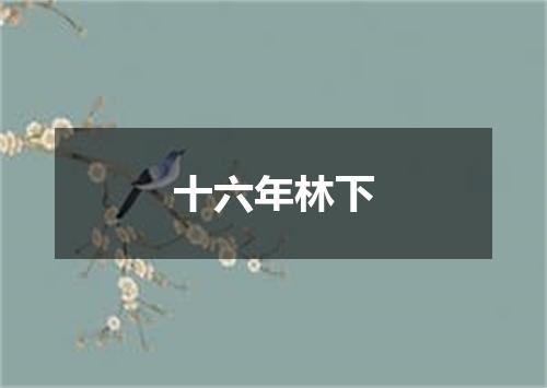 十六年林下