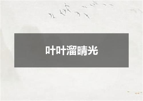 叶叶溜晴光