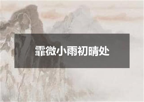 霏微小雨初晴处