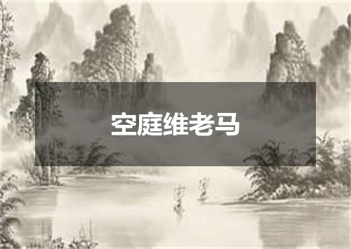 空庭维老马