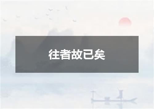 往者故已矣