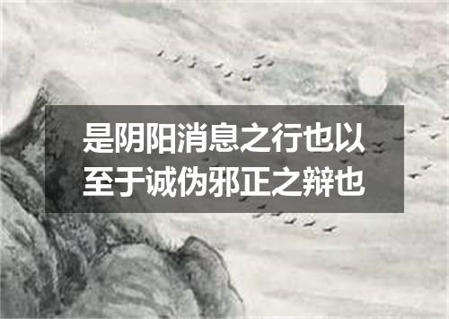是阴阳消息之行也以至于诚伪邪正之辩也