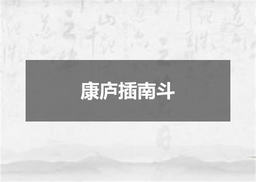 康庐插南斗