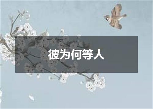 彼为何等人