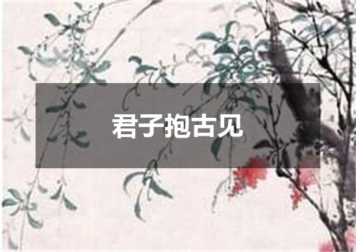 君子抱古见