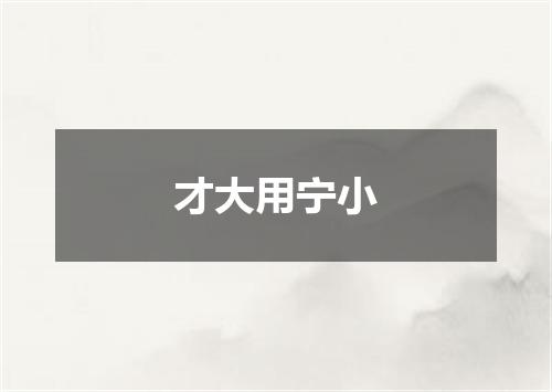 才大用宁小