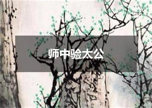 师中验太公