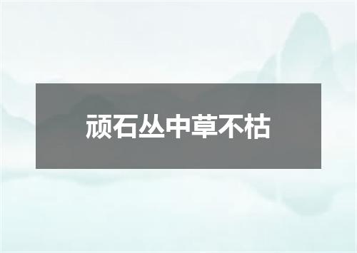 顽石丛中草不枯