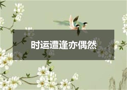 时运遭逢亦偶然