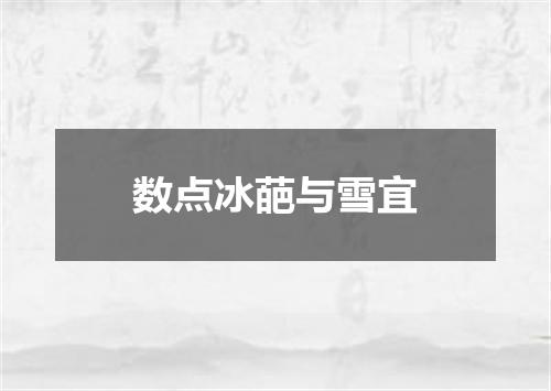 数点冰葩与雪宜