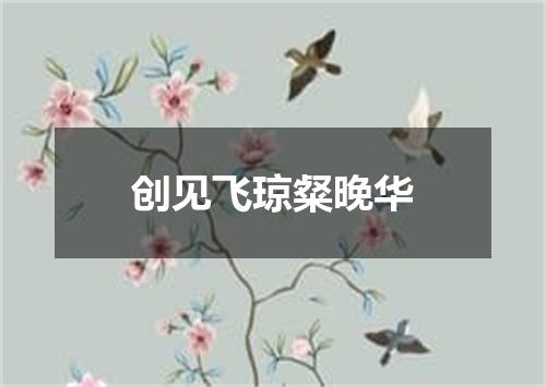 创见飞琼粲晚华