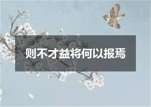 则不才益将何以报焉