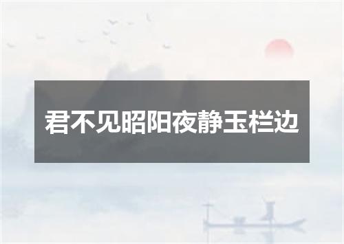 君不见昭阳夜静玉栏边