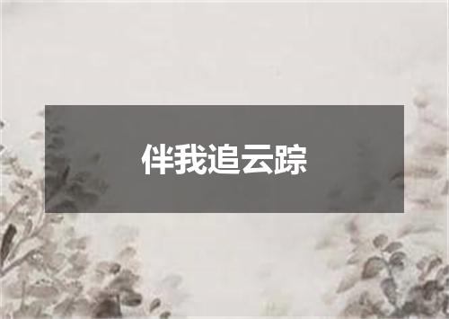 伴我追云踪