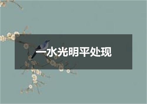 一水光明平处现