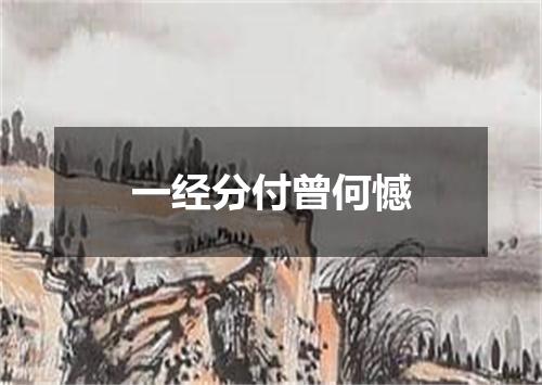 一经分付曾何憾