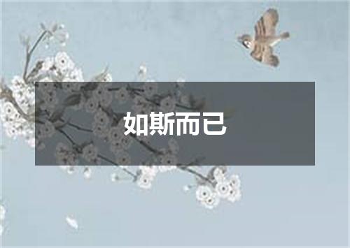 如斯而已