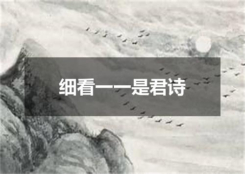 细看一一是君诗