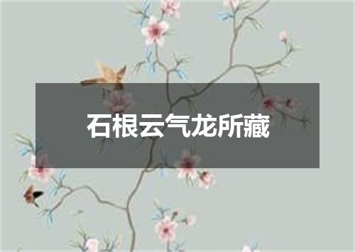 石根云气龙所藏