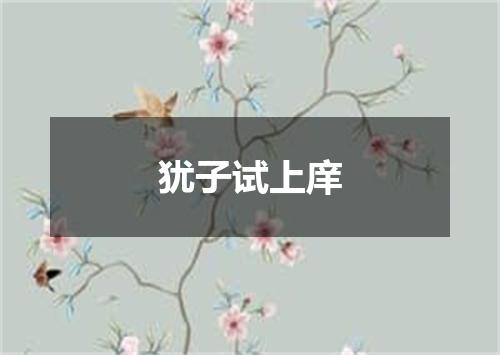 犹子试上庠