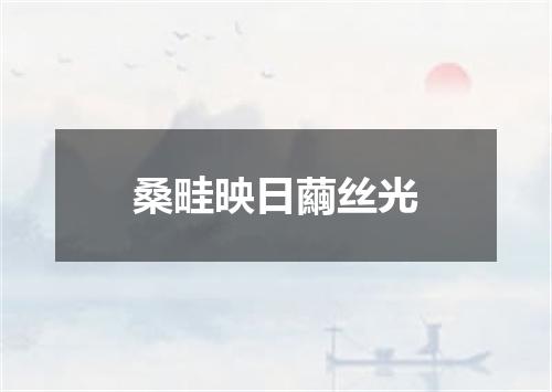 桑畦映日繭丝光