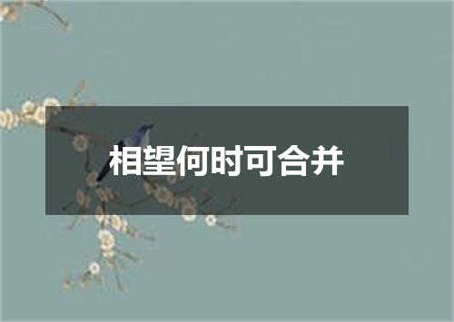 相望何时可合并