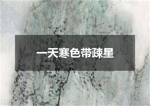 一天寒色带疎星