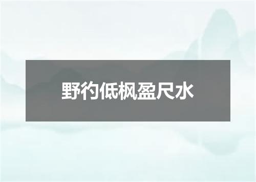 野彴低枫盈尺水